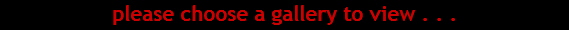 please choose a gallery to view . . .